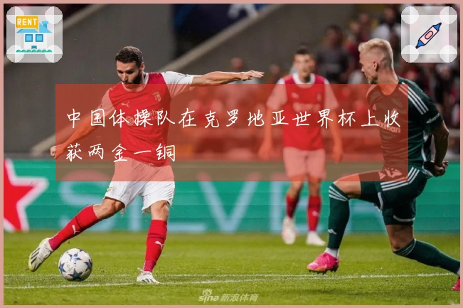 中国体操队在克罗地亚世界杯上收获两金一铜